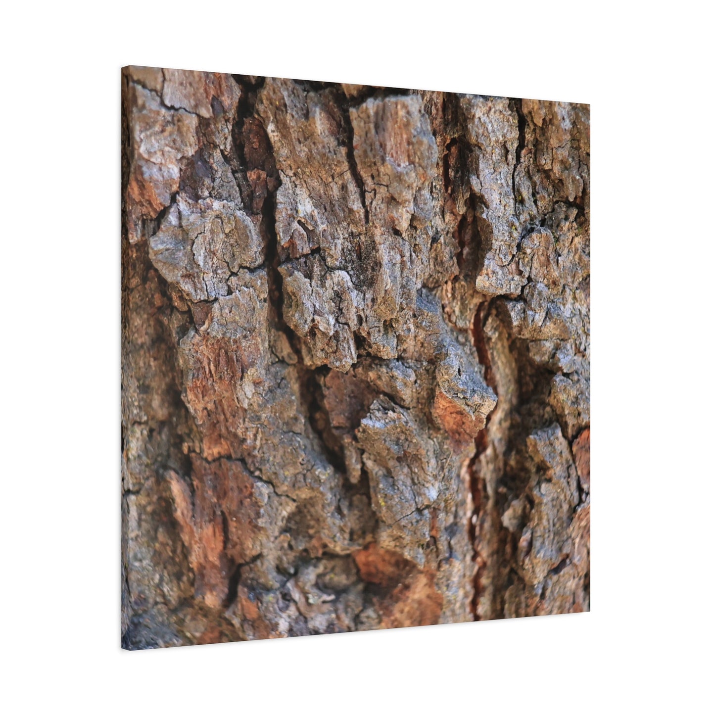 Nature's Skin - Unique Frameless Canvas Wall Art