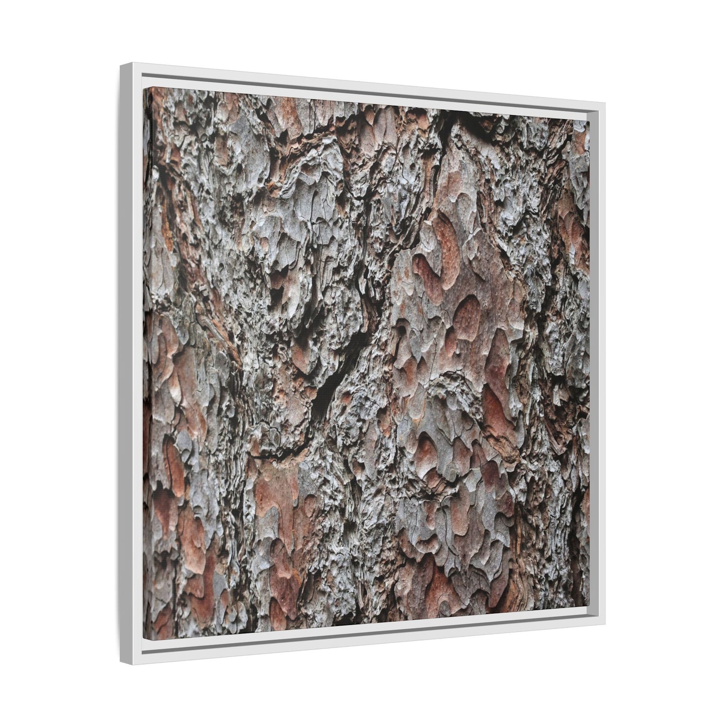 Bark Texture Symphony - Unique Stretched Canvas Wall Art