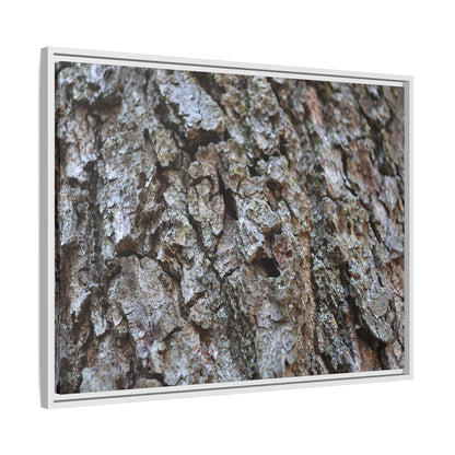 Woodland Canvas - Unique Stretched Canvas Wall Art