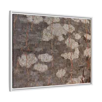 Lichen's Legacy - Unique Stretched Canvas Wall Art