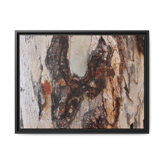 Texture of Time - Unique Stretched Canvas Wall Art