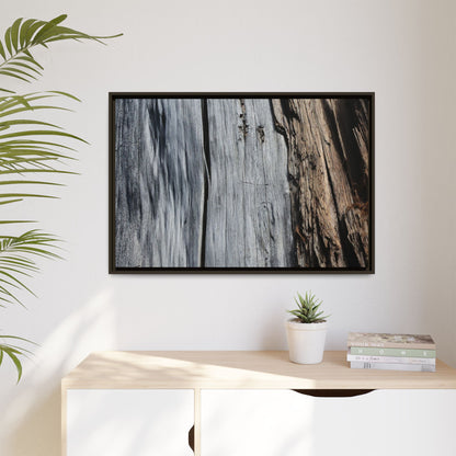 Wood's Lament - Unique Stretched Canvas Wall Art