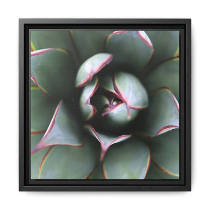Spiky Elegance - Unique Stretched Canvas Wall Art
