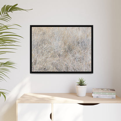 Whispers of Dry Grass - Unique Stretched Canvas Wall Art - Art By Earth