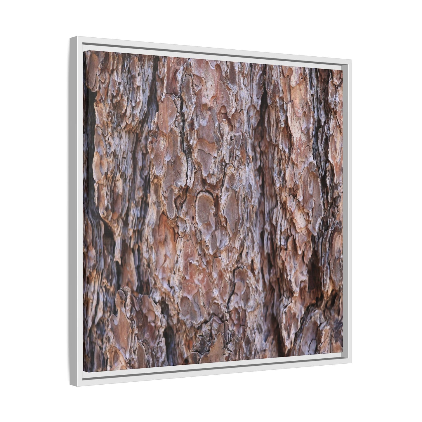Woody Layers - Unique Stretched Canvas Wall Art