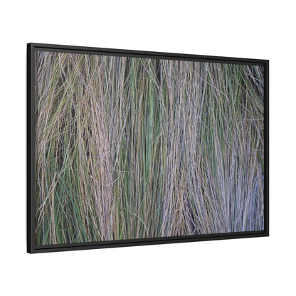 Whispers of Silver Grass - Unique Stretched Canvas Wall Art