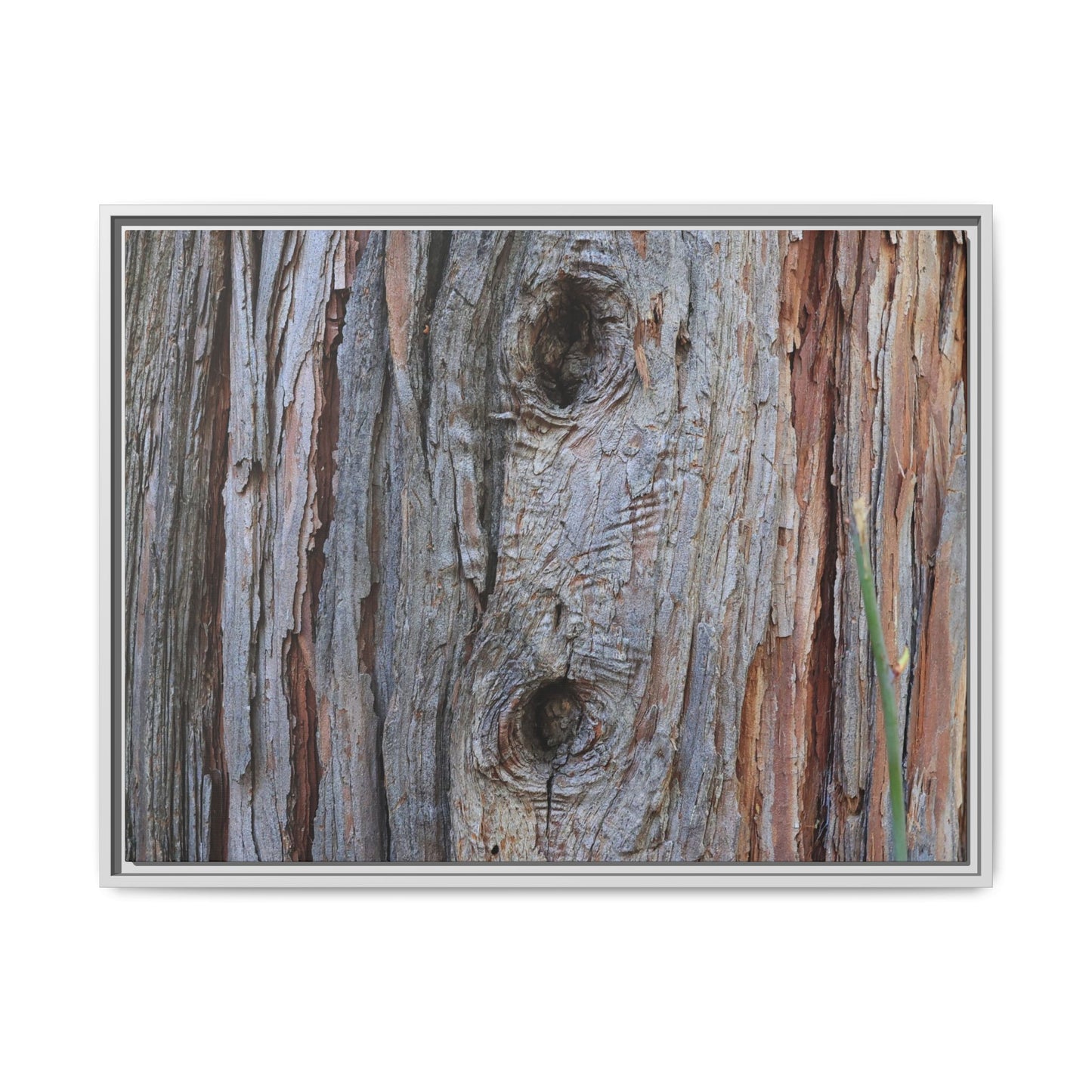 Knotty Nature - Unique Stretched Canvas Wall Art