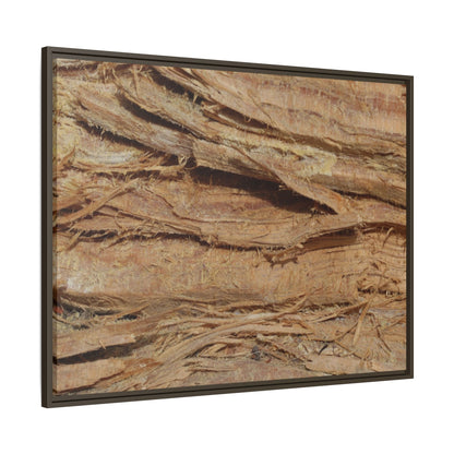 Splintered Bark - Unique Stretched Canvas Wall Art