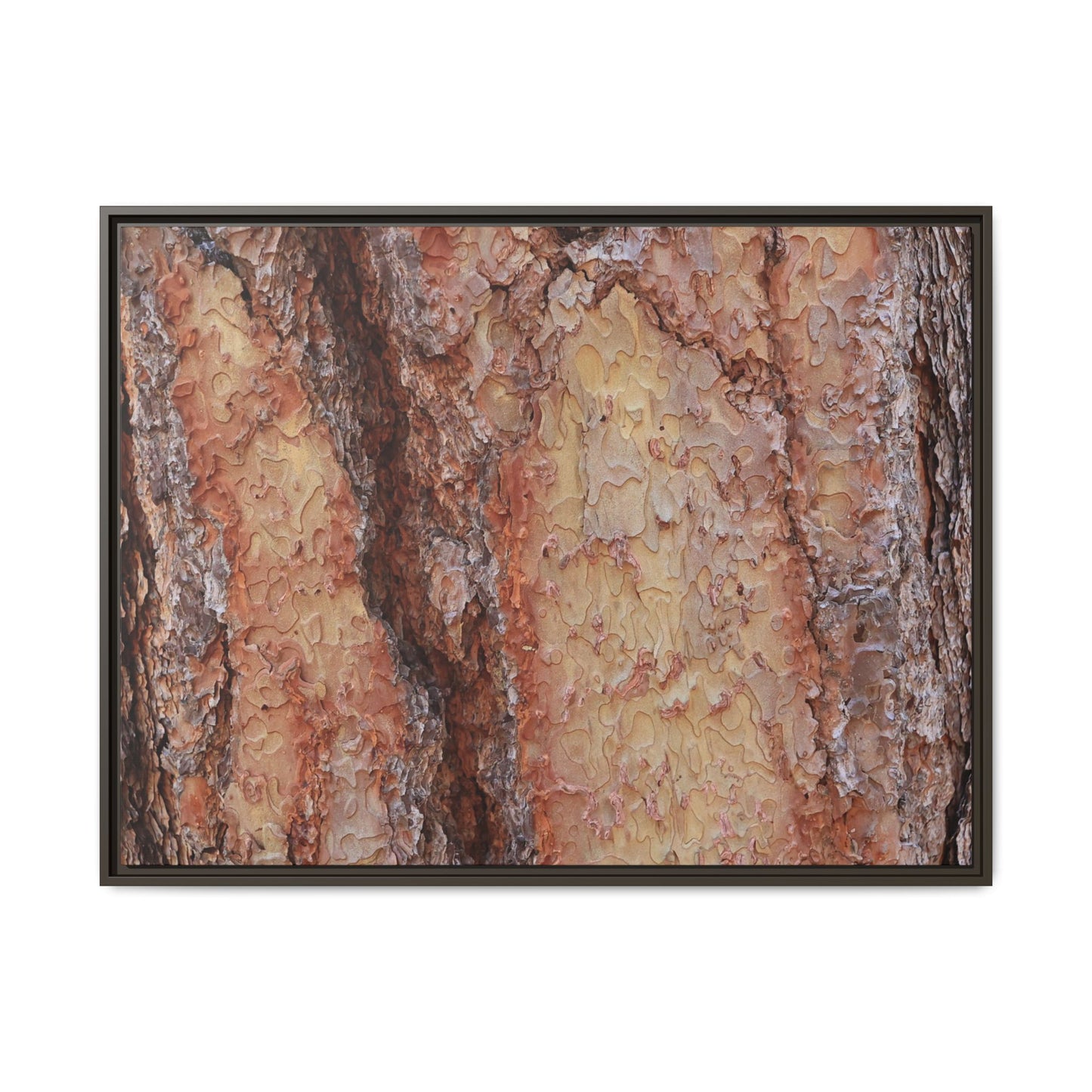 Rustic Rhythms - Unique Stretched Canvas Wall Art