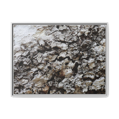 Cracked Terrain - Unique Stretched Canvas Wall Art