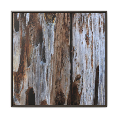 Decaying Splendor - Unique Stretched Canvas Wall Art
