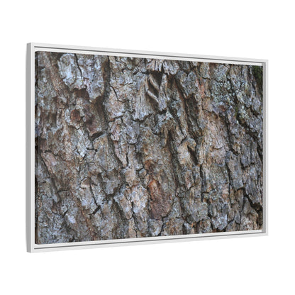 Woodland Skin - Unique Stretched Canvas Wall Art