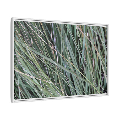 Grassland Symphony - Unique Stretched Canvas Wall Art